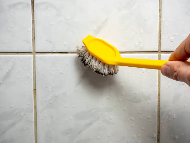  Rainier, OR Mold Removal Pros